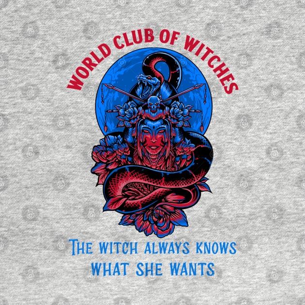 The Witch Always Knows What She Wants / World Club of Witches - V02 by Vladimir Zevenckih